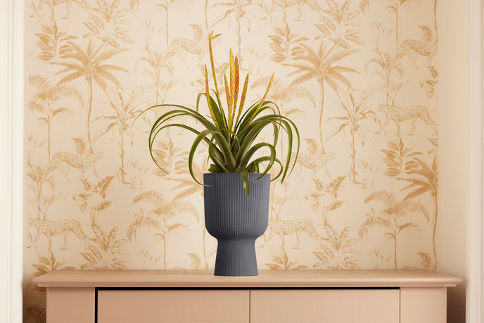 vibes fold coupe 14cm antraciet